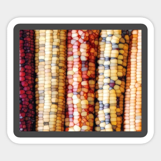 Abstract Indian Corn Sticker by perkinsdesigns